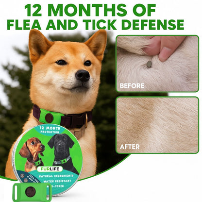 FurLife™ Protection Tag